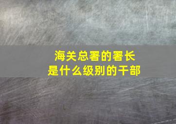 海关总署的署长是什么级别的干部