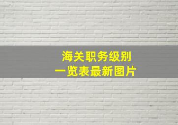 海关职务级别一览表最新图片