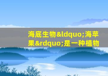 海底生物“海苹果”是一种植物