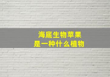 海底生物苹果是一种什么植物