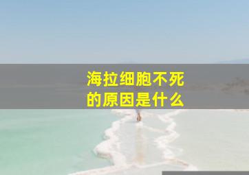 海拉细胞不死的原因是什么