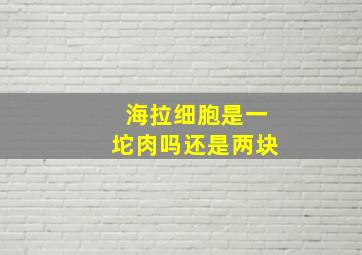 海拉细胞是一坨肉吗还是两块