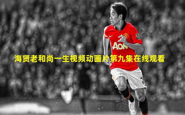 海贤老和尚一生视频动画片第九集在线观看