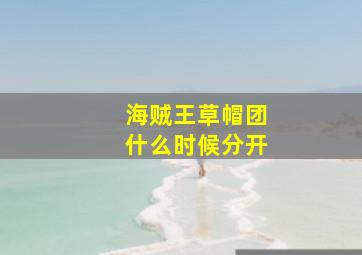 海贼王草帽团什么时候分开