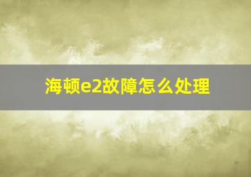 海顿e2故障怎么处理