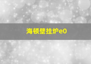 海顿壁挂炉e0