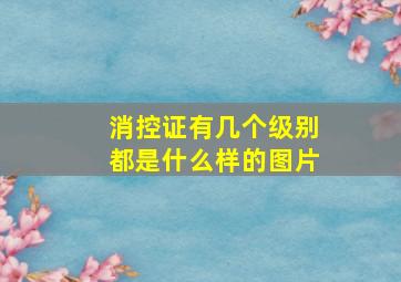 消控证有几个级别都是什么样的图片