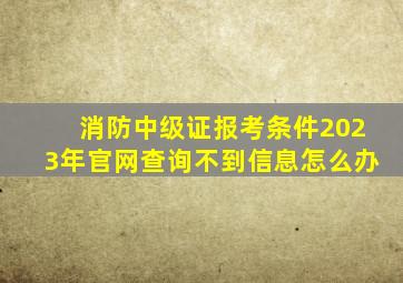 消防中级证报考条件2023年官网查询不到信息怎么办