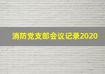 消防党支部会议记录2020