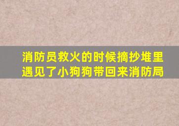 消防员救火的时候摘抄堆里遇见了小狗狗带回来消防局