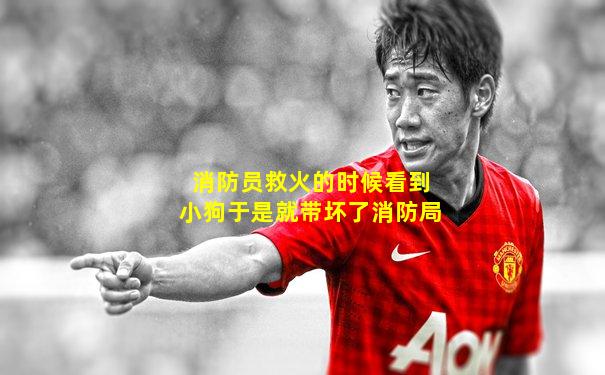 消防员救火的时候看到小狗于是就带坏了消防局
