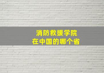 消防救援学院在中国的哪个省