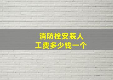 消防栓安装人工费多少钱一个