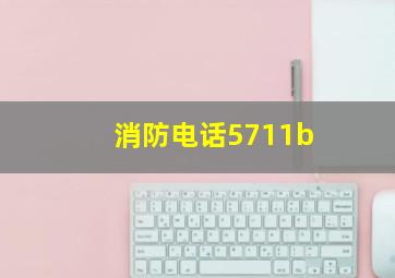 消防电话5711b