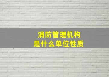 消防管理机构是什么单位性质