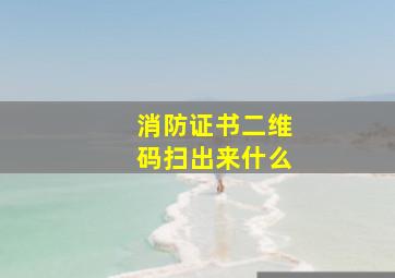 消防证书二维码扫出来什么