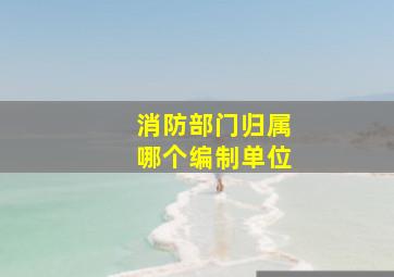 消防部门归属哪个编制单位