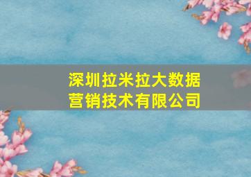 深圳拉米拉大数据营销技术有限公司