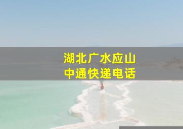 湖北广水应山中通快递电话