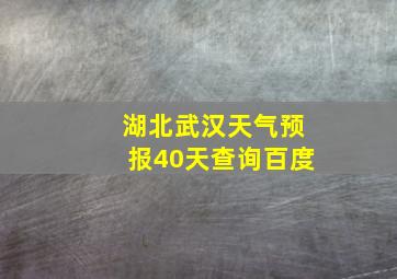 湖北武汉天气预报40天查询百度