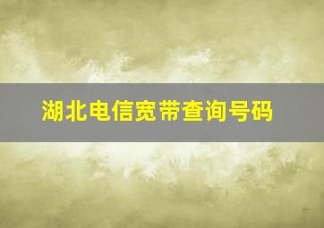 湖北电信宽带查询号码