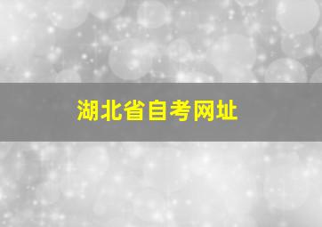 湖北省自考网址