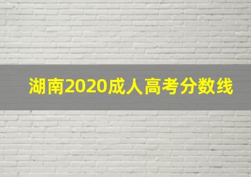 湖南2020成人高考分数线