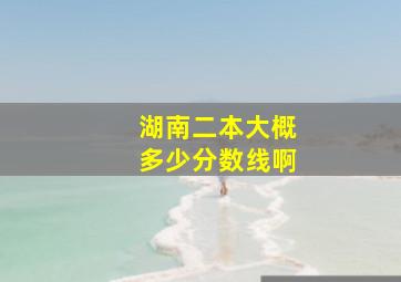 湖南二本大概多少分数线啊