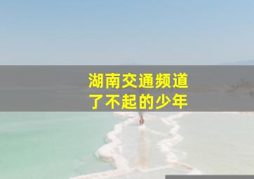 湖南交通频道了不起的少年