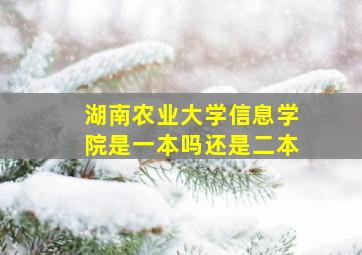 湖南农业大学信息学院是一本吗还是二本