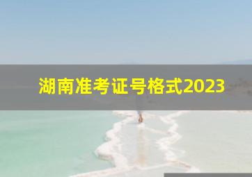 湖南准考证号格式2023