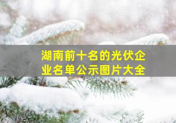 湖南前十名的光伏企业名单公示图片大全