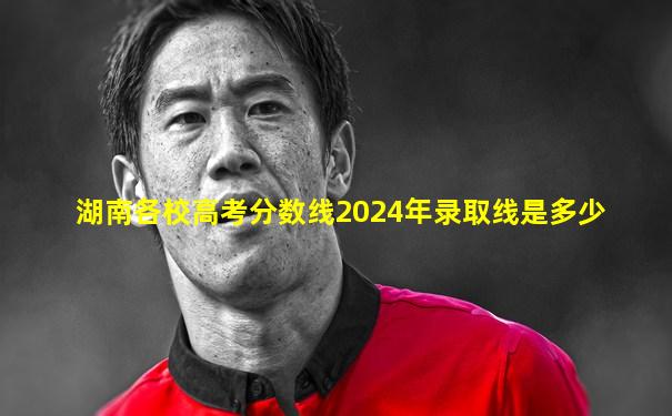 湖南各校高考分数线2024年录取线是多少