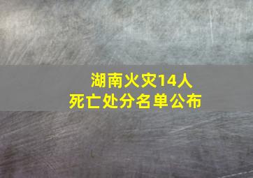 湖南火灾14人死亡处分名单公布