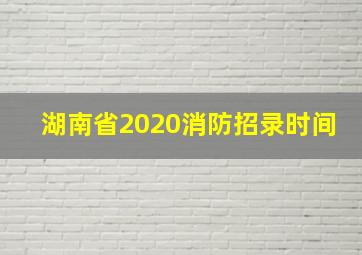 湖南省2020消防招录时间