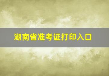 湖南省准考证打印入口