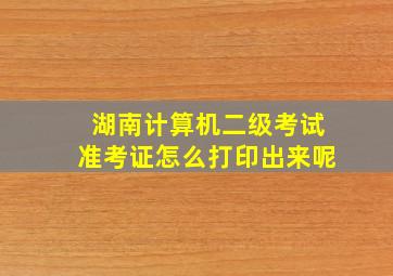 湖南计算机二级考试准考证怎么打印出来呢