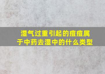 湿气过重引起的痘痘属于中药去湿中的什么类型