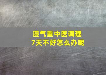 湿气重中医调理7天不好怎么办呢