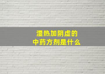 湿热加阴虚的中药方剂是什么