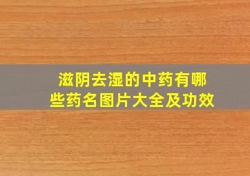 滋阴去湿的中药有哪些药名图片大全及功效