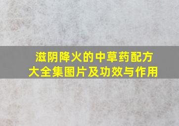 滋阴降火的中草药配方大全集图片及功效与作用