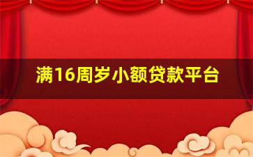 满16周岁小额贷款平台