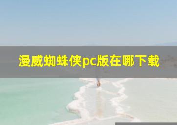 漫威蜘蛛侠pc版在哪下载