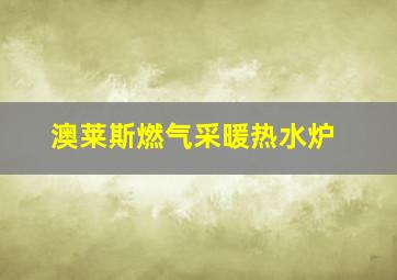 澳莱斯燃气采暖热水炉