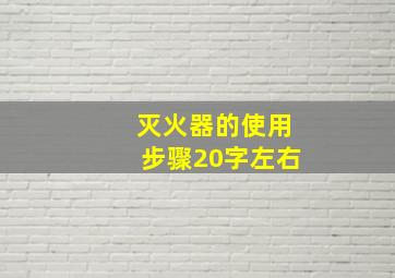 灭火器的使用步骤20字左右