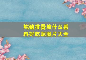 炖猪排骨放什么香料好吃呢图片大全