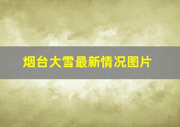 烟台大雪最新情况图片