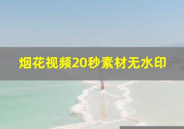 烟花视频20秒素材无水印