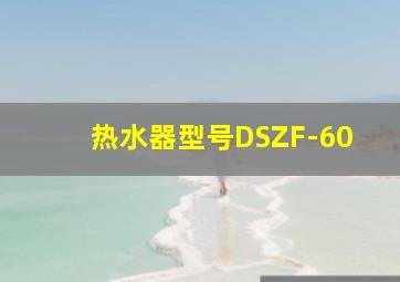 热水器型号DSZF-60